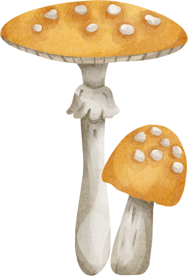 watercolor mushroom